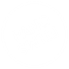 PanoFilms